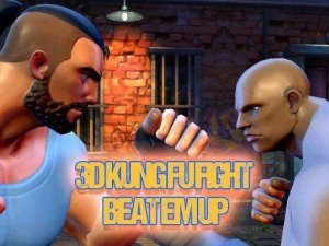 3D Kung Fu Action Fighter