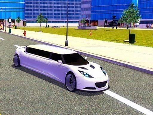 City Chauffeur: Precision Drive