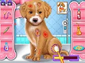 Puppy Groomer & Health Helper
