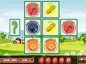 Fruity Veggie Memory Puzzle Game