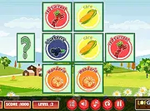 Fruity Veggie Memory Puzzle Game